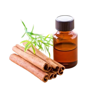Cinnamon Oil (Roghan e Darchini) – Herbal Oil for Digestion, Pain Relief & Skin Glow