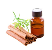 Cinnamon Oil (Roghan e Darchini) – Herbal Oil for Digestion, Pain Relief & Skin Glow