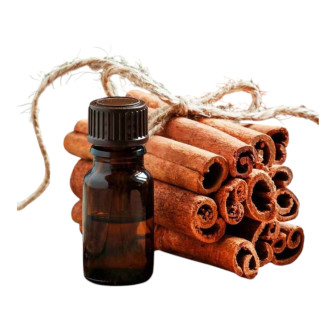 Cinnamon Oil (Roghan e Darchini) – Herbal Oil for Digestion, Pain Relief & Skin Glow
