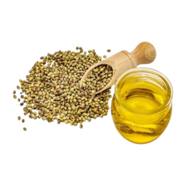 Coriander Oil (Roghan e Dhania) – Natural Herbal Oil for Digestion & Skin Glow