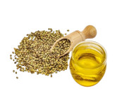 Coriander Oil (Roghan e Dhania) – Natural Herbal Oil for Digestion & Skin Glow