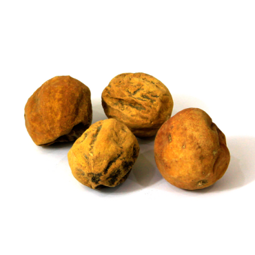 Bitter Apple (Sheem Tumbah)