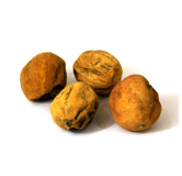 Bitter Apple (Sheem Tumbah)