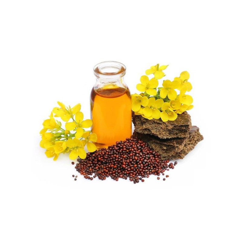 Mustard Oil (Sarson ka Tel) – Pure Natural Oil in Pakistan | Hafiz Pansar Mustard Oil (Sarson ka Tel) – Pure Natural Oil in Pakistan | Hafiz Pansar