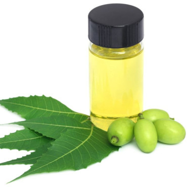 Neem Oil (Roghan e Neem)