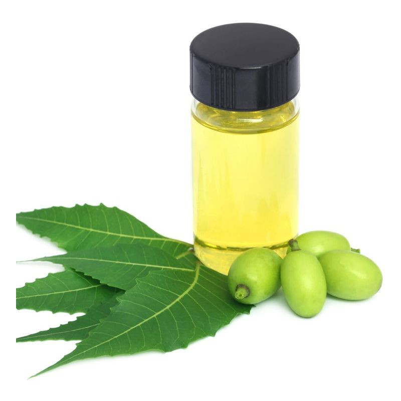 Neem Oil (Roghan e Neem)