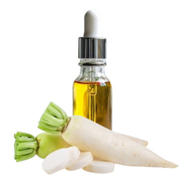 Buy Tukhme Mooli Oil (Roghan e Mooli) in Pakistan – Hafiz Pansar