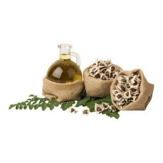 Buy Moringa Oil (Roghan e Sohanjna) in Pakistan – 100% Pure & Natural | Hafiz Pansar