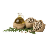 Buy Moringa Oil (Roghan e Sohanjna) in Pakistan – 100% Pure & Natural | Hafiz Pansar