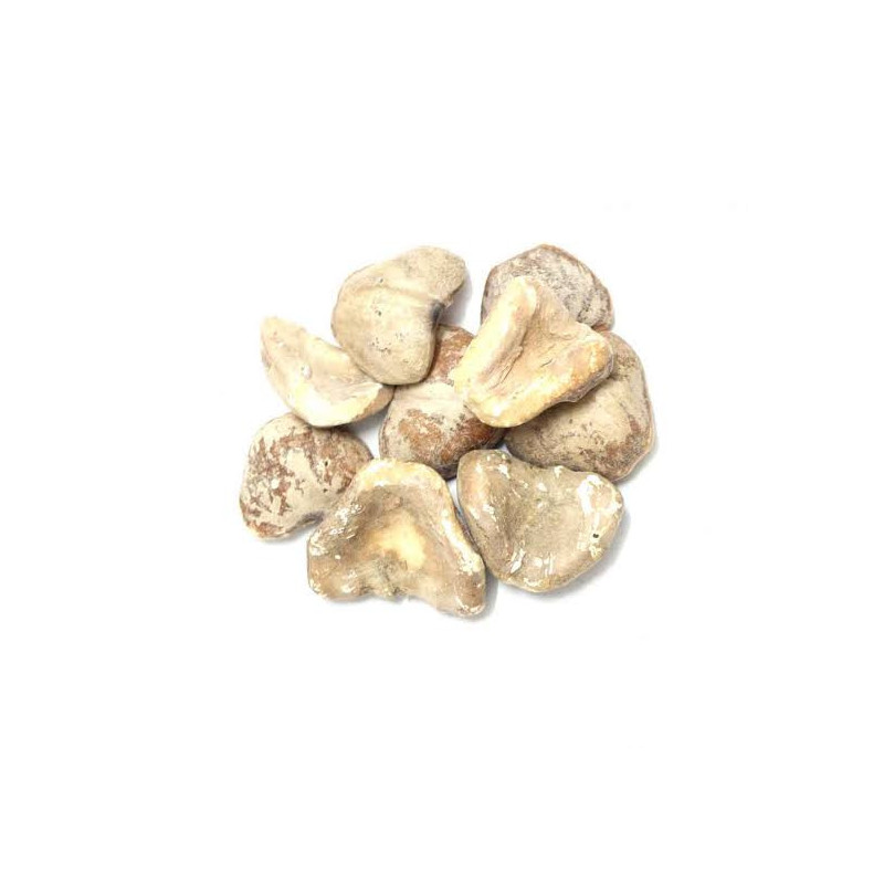 Water chestnut(Singhara Khushk)