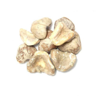Water chestnut(Singhara Khushk)
