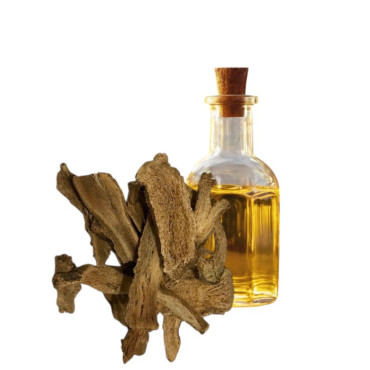 Buy Costus Root Oil (Roghan e Kut) in Pakistan – 100% Pure Herbal Oil | Hafiz Pansar