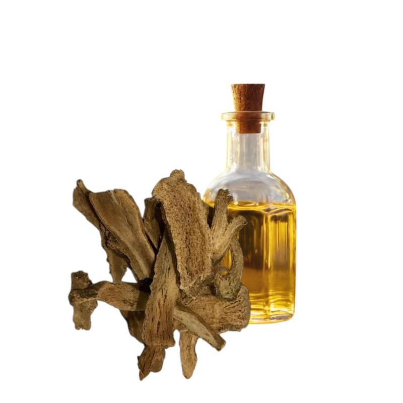 Buy Costus Root Oil (Roghan e Kut) in Pakistan – 100% Pure Herbal Oil | Hafiz Pansar Buy Costus Root Oil (Roghan e Kut) in Pakistan – 100% Pure Herbal Oil | Hafiz Pansar