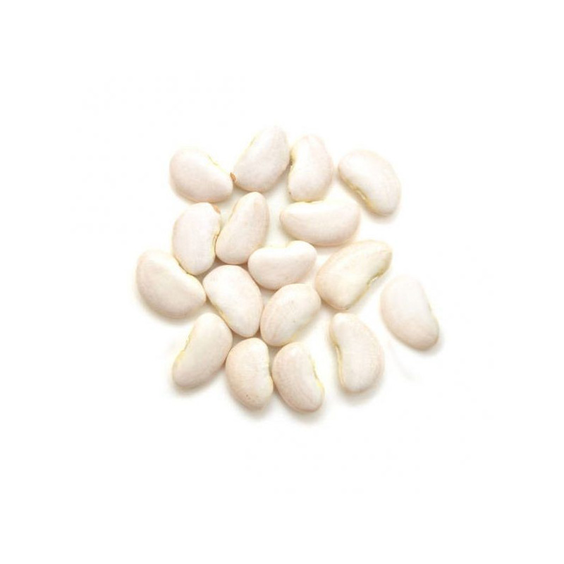 Turmas (Lupine Beans)