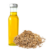 Ajwain Oil (Roghan e Ajwain) – Pure Herbal Oil | Hafiz Pansar Pakistan