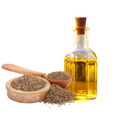 Ajwain Oil (Roghan e Ajwain) – Pure Herbal Oil | Hafiz Pansar Pakistan