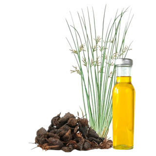 Nagarmotha Oil (Roghan e Nagar Motha) – Herbal Detox Oil | Hafiz Pansar Pakistan