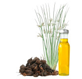 Nagarmotha Oil (Roghan e Nagar Motha) – Herbal Detox Oil | Hafiz Pansar Pakistan