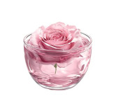 Arq-e-Gulab (Rose Water) Price in Pakistan | Natural Cooling Arq | Hafiz Pansar