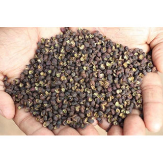 Buy Premium Timber Seeds Online in Pakistan | Hafiz Pansar