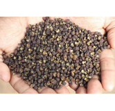 Buy Premium Timber Seeds Online in Pakistan | Hafiz Pansar