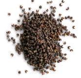 Buy Premium Timber Seeds Online in Pakistan | Hafiz Pansar