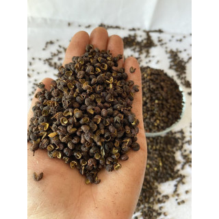 Buy Premium Timber Seeds Online in Pakistan | Hafiz Pansar