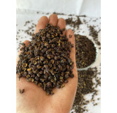 Buy Premium Timber Seeds Online in Pakistan | Hafiz Pansar