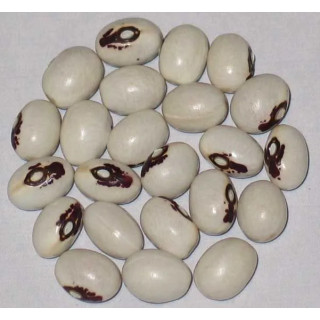 Konch Safed (Mucuna Pruriens) - 2