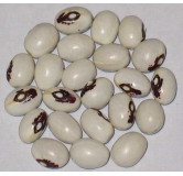 Konch Safed (Mucuna Pruriens) - 2