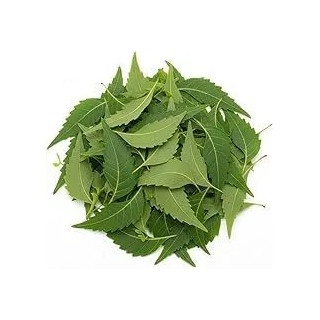 Neem Ke Pattay (Neem Leaves) - 2