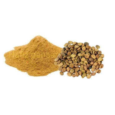 Tukhm e Sars Powder (Albizia Lebbeck)