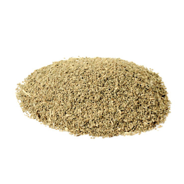 Ajwain Khurasani (Henbane)