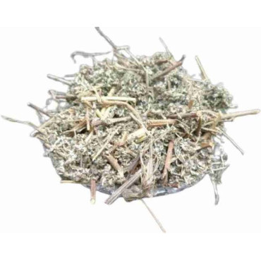 Wormwood (Afsateen)