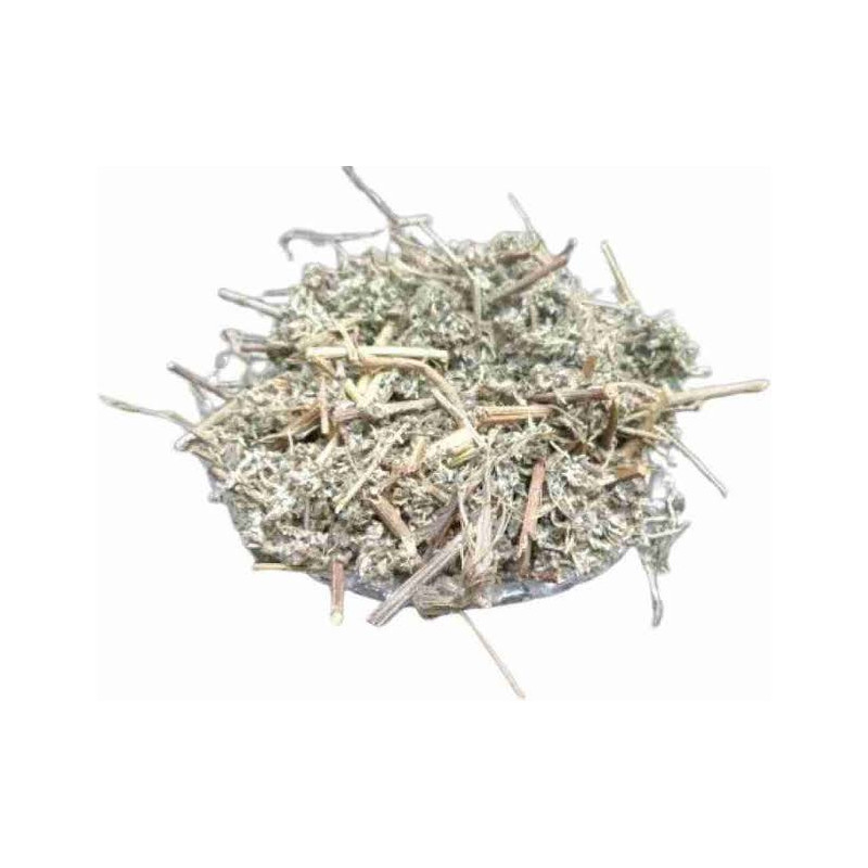 Wormwood (Afsateen)