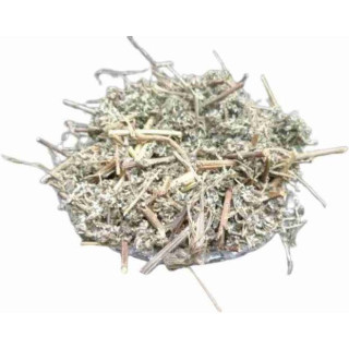 Wormwood (Afsateen)
