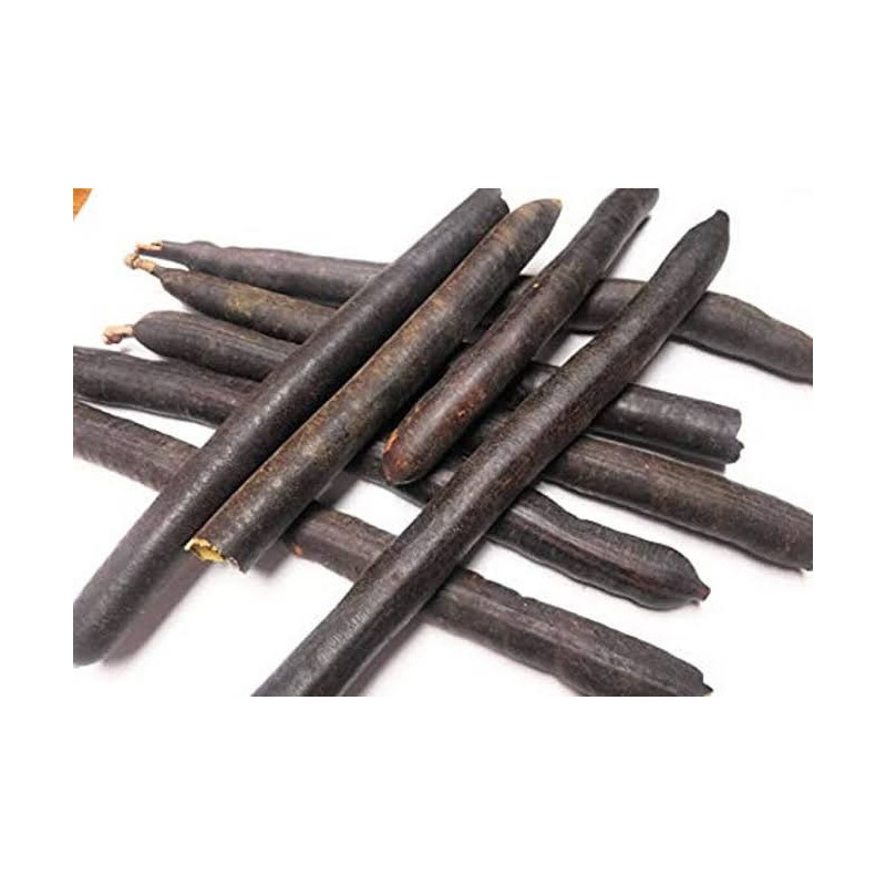 Cassia Fistula Pods (Amaltas Phalli)