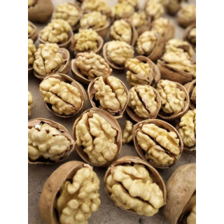 Buy Walnut Unshelled (Giri Akhrot) Online in Pakistan | Hafiz Pansar