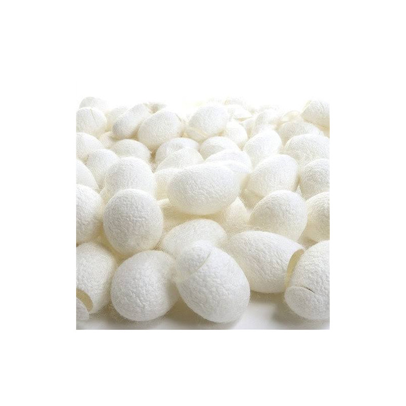 Silk Cocoon (Abresham)