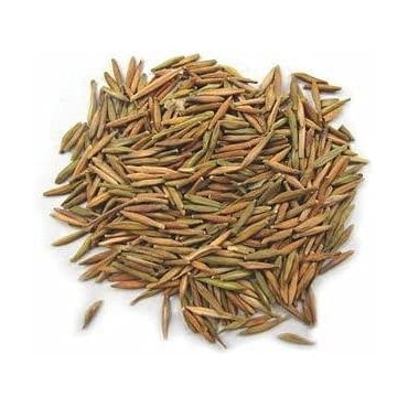 Tellicherry Bark (Bitter Oleander Indarjo Talkh)