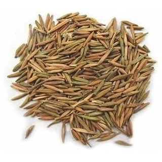 Tellicherry Bark (Bitter Oleander Indarjo Talkh)