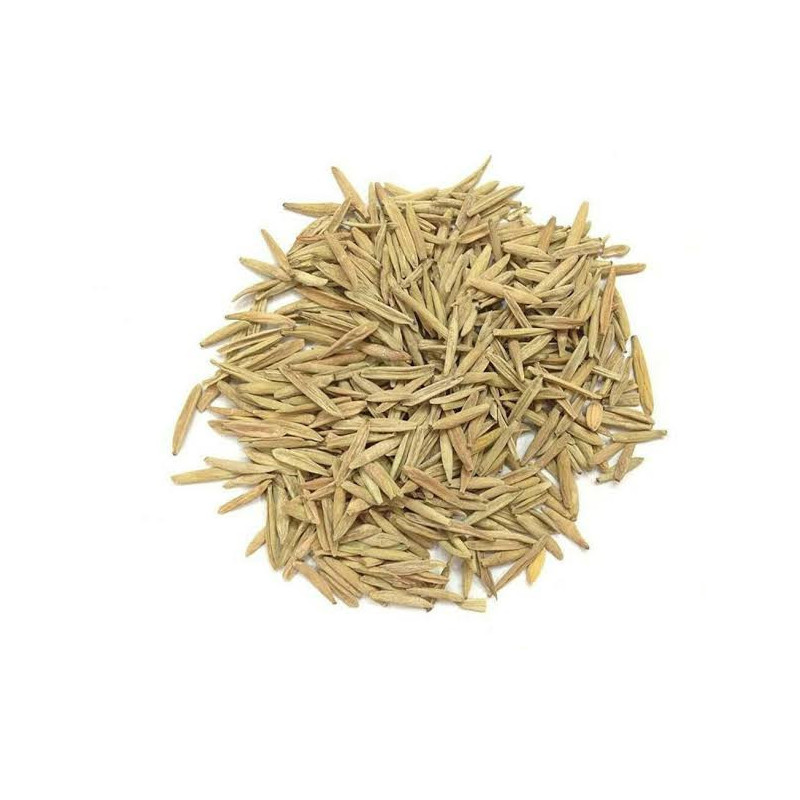 Wrightia Tinctoria Seeds (Indarjo Shireen)