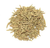Wrightia Tinctoria Seeds (Indarjo Shireen)