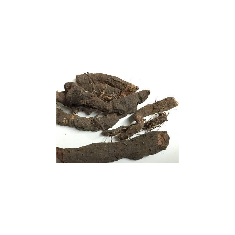 Alpine Bistort (Anjbar)