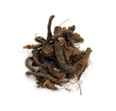 Alpine Bistort (Anjbar)