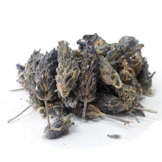 Lavender Flower (Ustakhadoos)