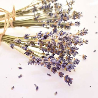 Lavender Flower (Ustakhadoos)