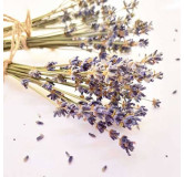 Lavender Flower (Ustakhadoos)