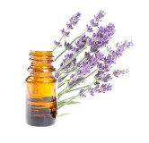 Lavender Oil(Ustakhadoos oil)