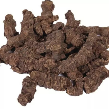 Valerian (Asaroon/Korr)